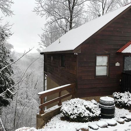 Black Bear Cove Gatlinburg Bagian luar foto