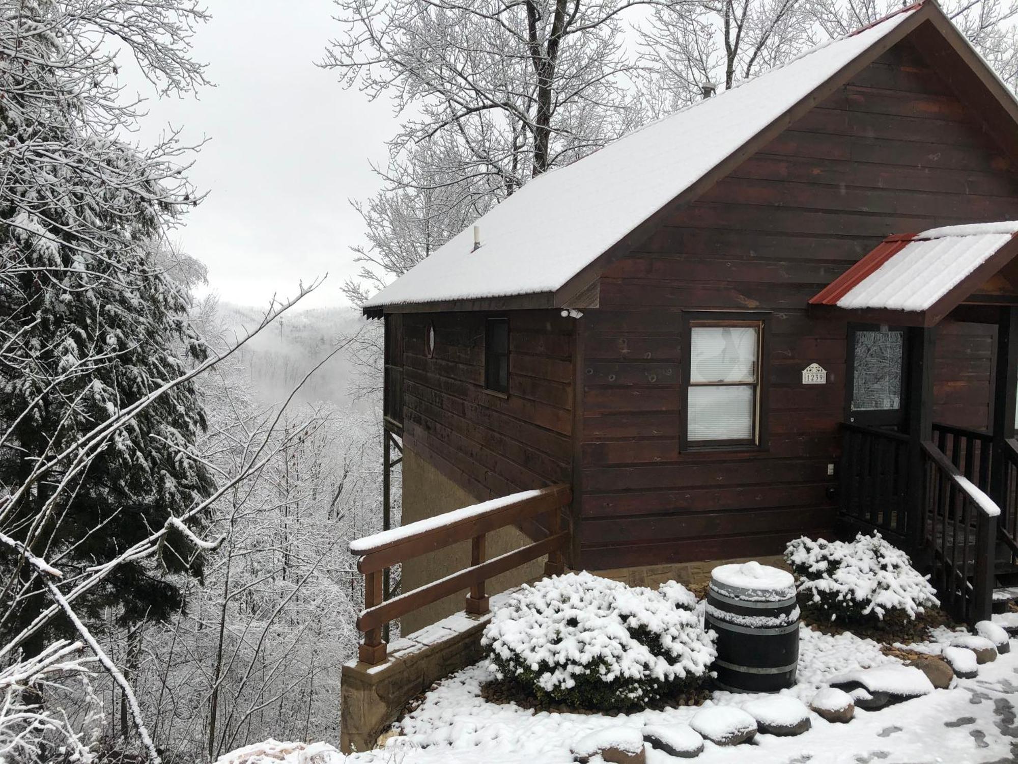 Black Bear Cove Gatlinburg Bagian luar foto