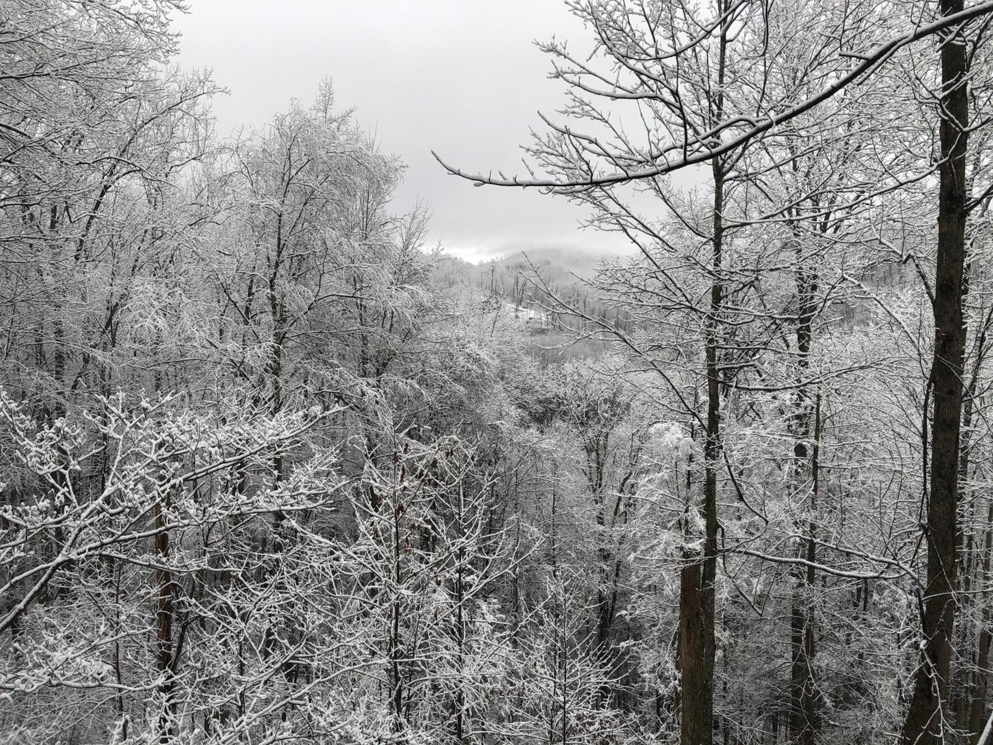Black Bear Cove Gatlinburg Bagian luar foto
