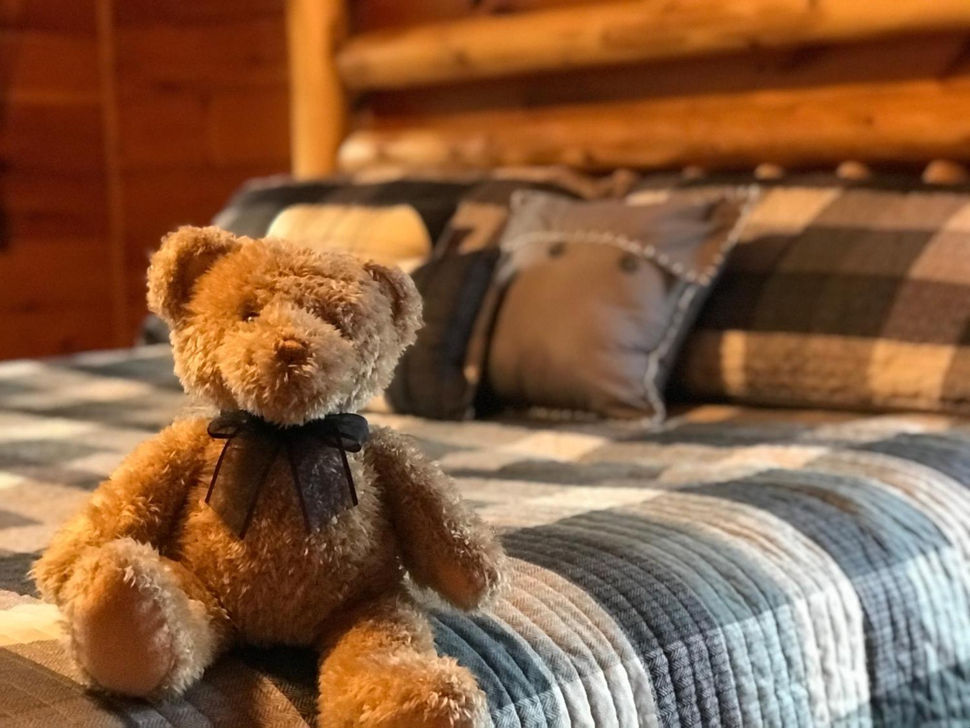 Black Bear Cove Gatlinburg Bagian luar foto
