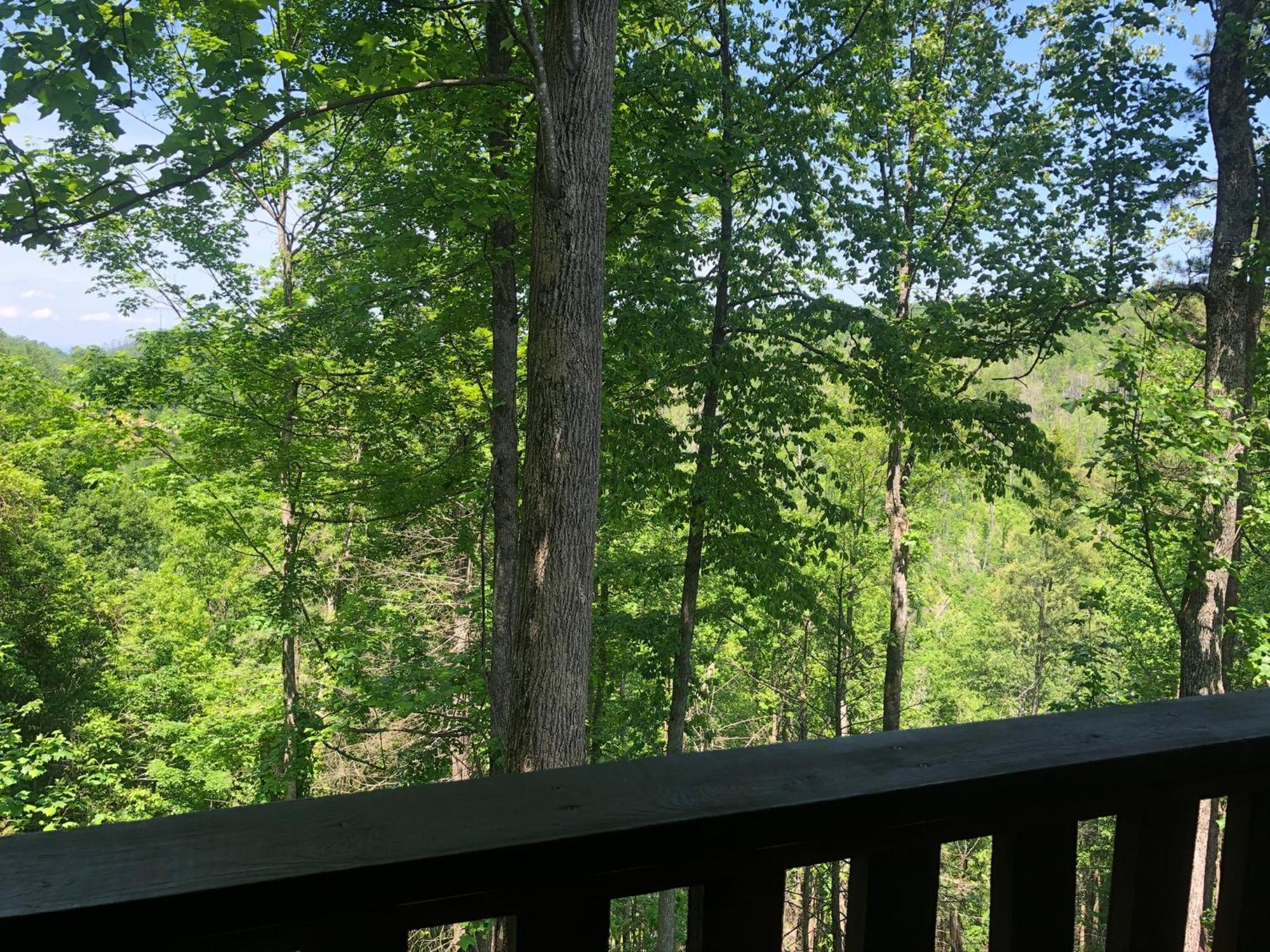 Black Bear Cove Gatlinburg Bagian luar foto